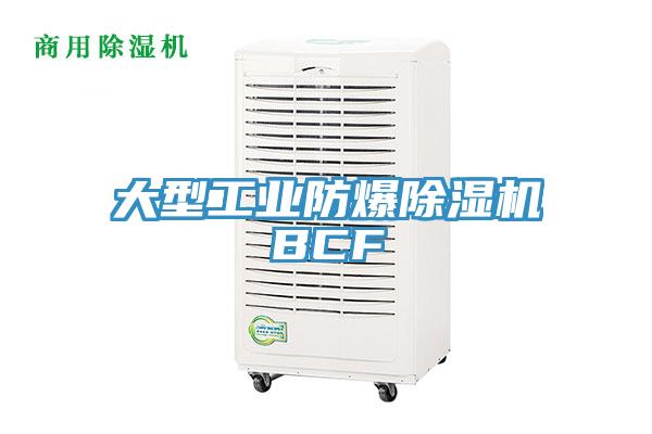 大型工業防爆香蕉视频国产BCF