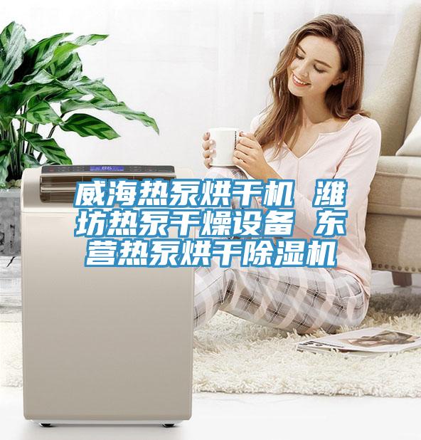 威海熱泵烘幹機 濰坊熱泵幹燥設備 東營熱泵烘幹香蕉视频国产