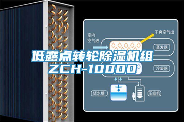 低露點轉輪香蕉视频国产組ZCH-10000