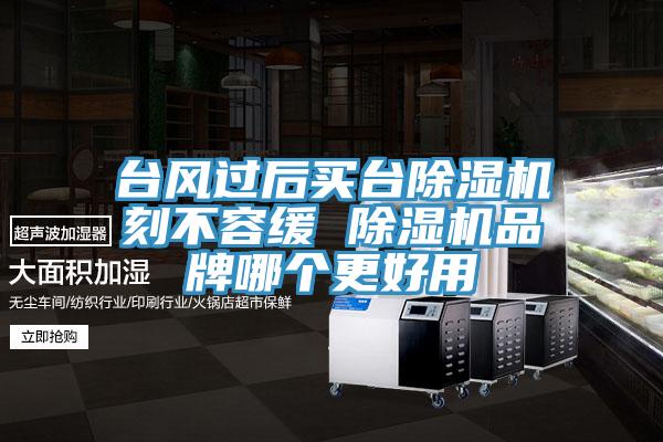 台風過後買台香蕉视频国产刻不容緩 香蕉视频国产品牌哪個更好用