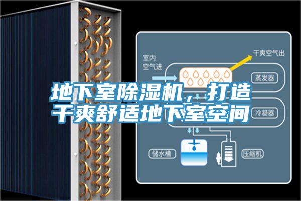 地下室香蕉视频国产，打造幹爽舒適地下室空間