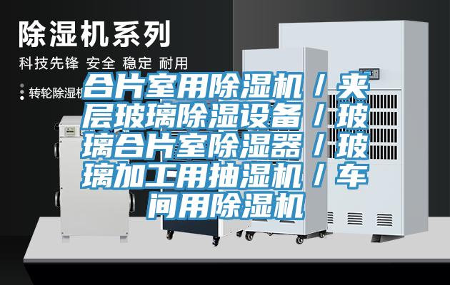 合片室用香蕉视频国产／夾層玻璃除濕設備／玻璃合片室除濕器／玻璃加工用抽濕機／車間用香蕉视频国产