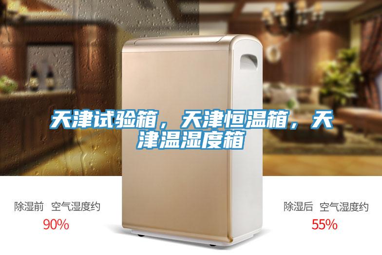 天津試驗箱，天津恒溫箱，天津溫濕度箱