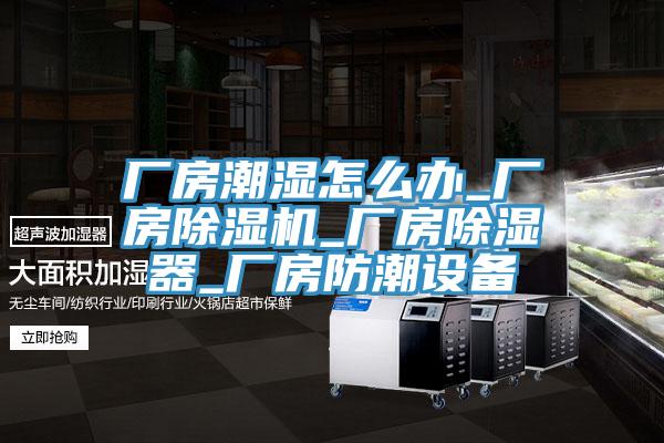廠房潮濕怎麽辦_廠房香蕉视频国产_廠房除濕器_廠房防潮設備