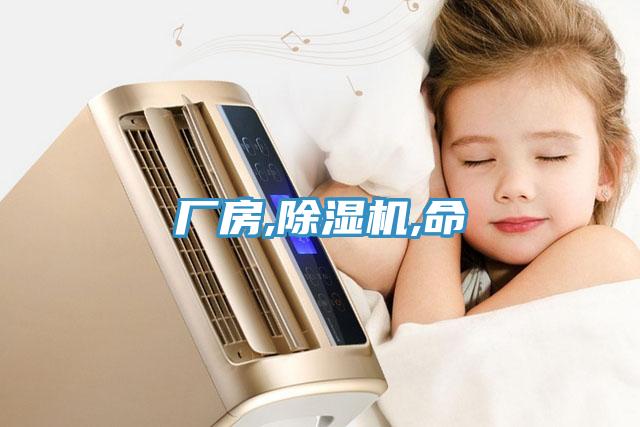 廠房,香蕉视频国产,命