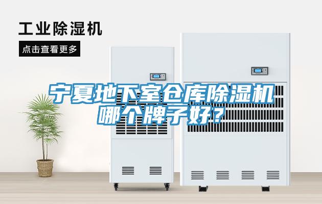 寧夏地下室倉庫香蕉视频国产哪個牌子好？