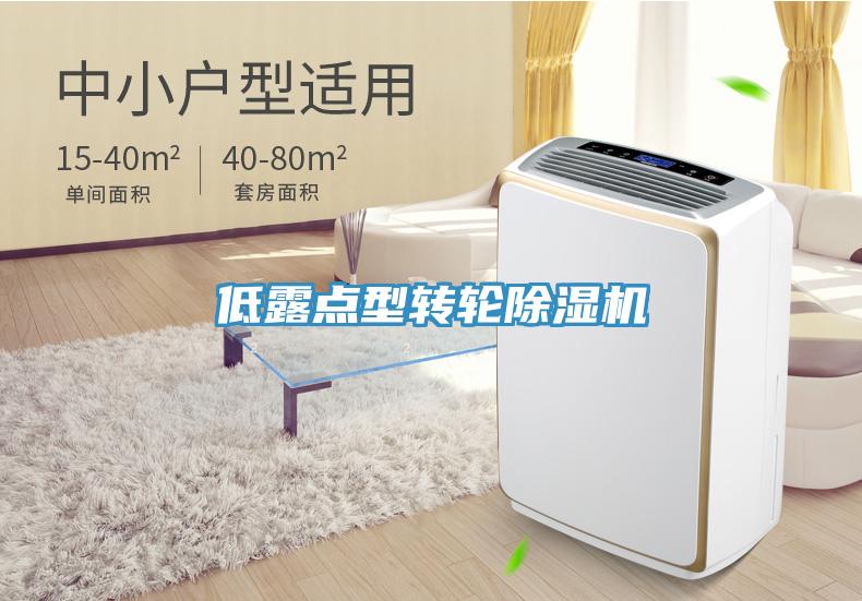 低露點型轉輪香蕉视频国产