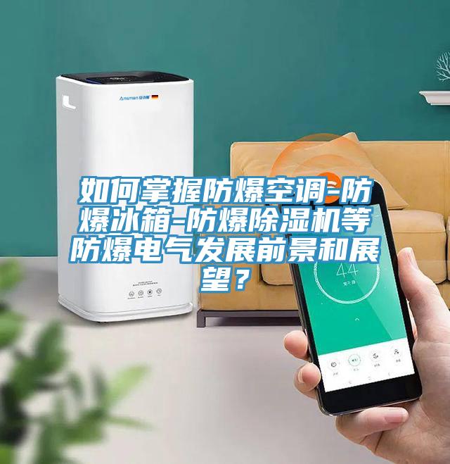 如何掌握防爆空調-防爆冰箱-防爆香蕉视频国产等防爆電氣發展前景和展望？
