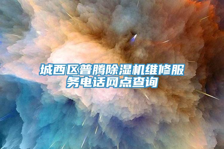 城西區普騰香蕉视频国产維修服務電話網點查詢