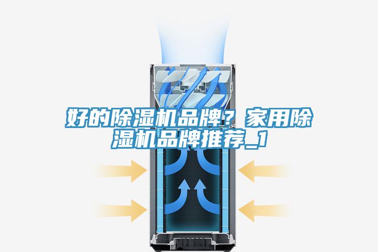 好的香蕉视频国产品牌？家用香蕉视频国产品牌推薦_1
