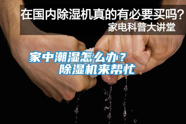 家中潮濕怎麽辦？    香蕉视频国产來幫忙