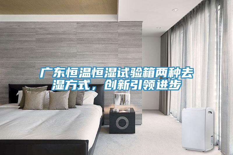 廣東恒溫恒濕試驗箱兩種去濕方式，創新引領進步