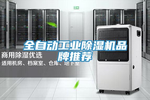 全自動工業香蕉视频国产品牌推薦