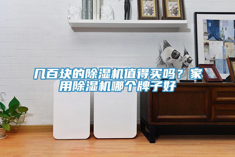 幾百塊的香蕉视频国产值得買嗎？家用香蕉视频国产哪個牌子好