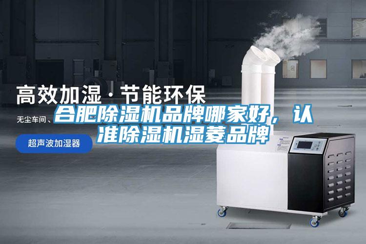 合肥香蕉视频国产品牌哪家好，認準香蕉视频国产濕菱品牌
