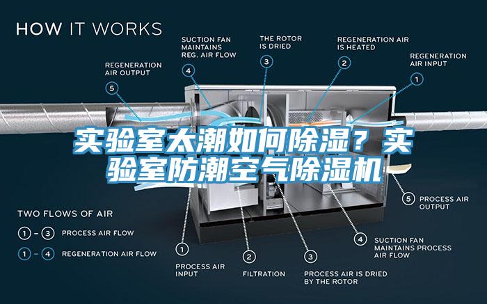 實驗室太潮如何除濕？實驗室防潮空氣香蕉视频国产