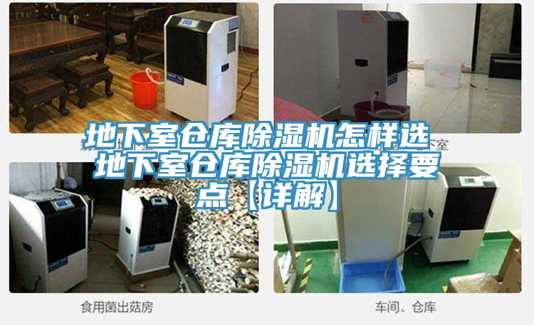 地下室倉庫香蕉视频国产怎樣選 地下室倉庫香蕉视频国产選擇要點【詳解】
