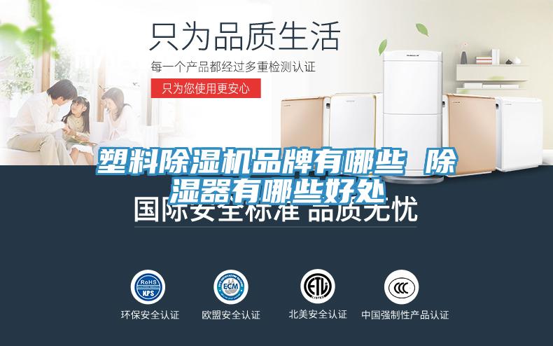 塑料香蕉视频国产品牌有哪些 除濕器有哪些好處