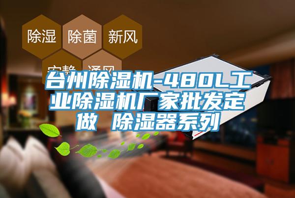 台州香蕉视频国产-480L工業香蕉视频国产廠家批發定做 除濕器係列