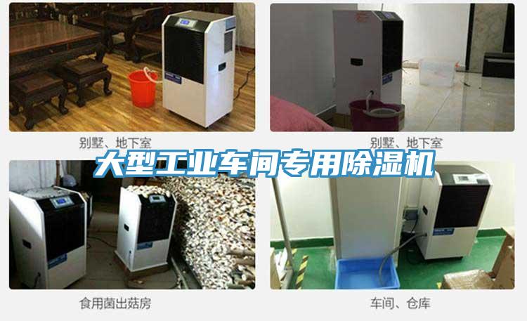 大型工業車間專用香蕉视频国产