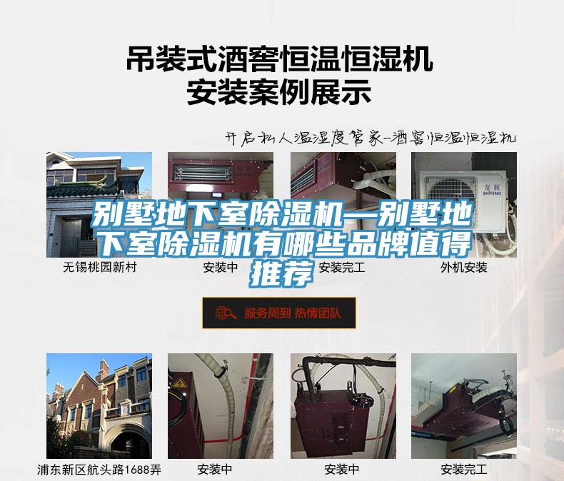 別墅地下室香蕉视频国产—別墅地下室香蕉视频国产有哪些品牌值得推薦