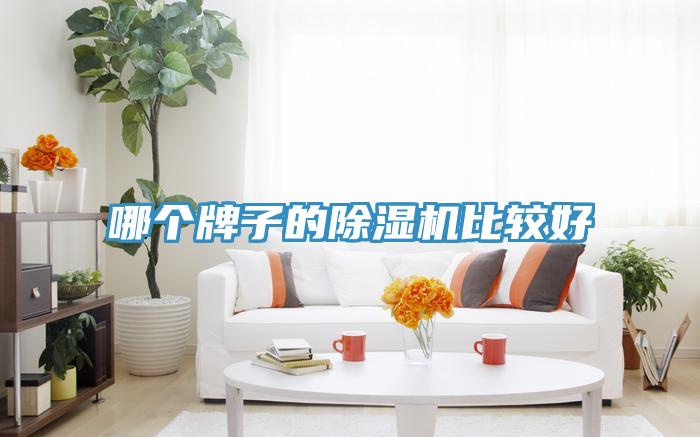 哪個牌子的香蕉视频国产比較好