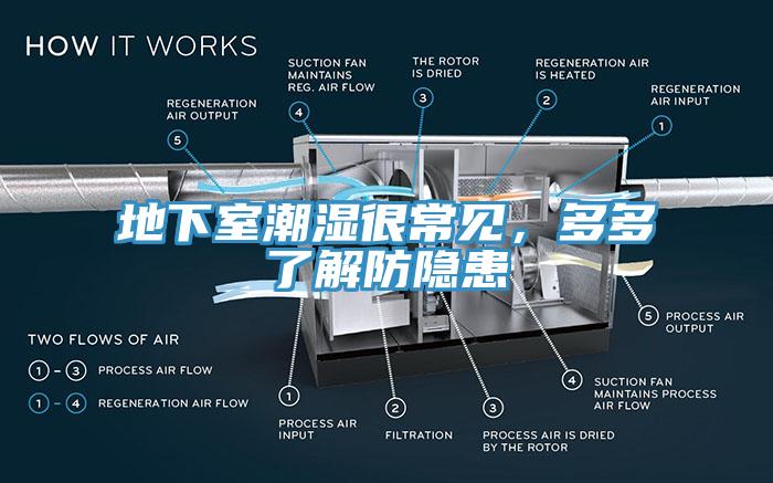 地下室潮濕很常見，多多了解防隱患