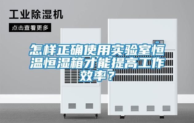 怎樣正確使用實驗室恒溫恒濕箱才能提高工作效率？