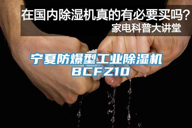 寧夏防爆型工業香蕉视频国产 BCFZ10