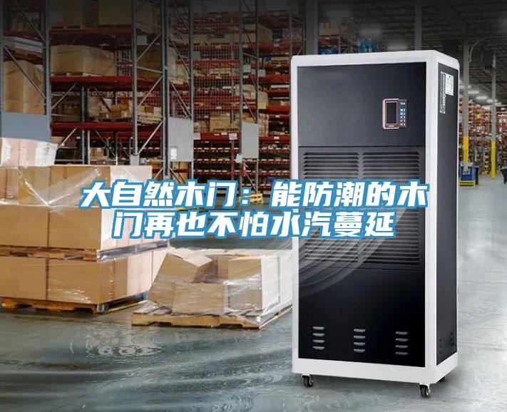 大自然木門：能防潮的木門再也不怕水汽蔓延