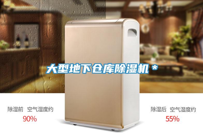 大型地下倉庫香蕉视频国产＊