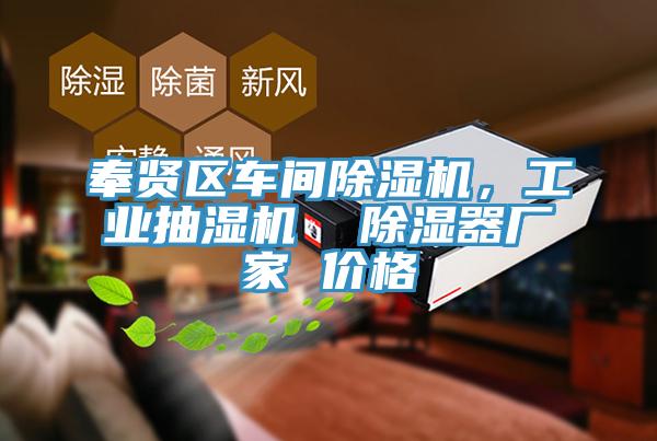 奉賢區車間香蕉视频国产，工業抽濕機  除濕器廠家 價格