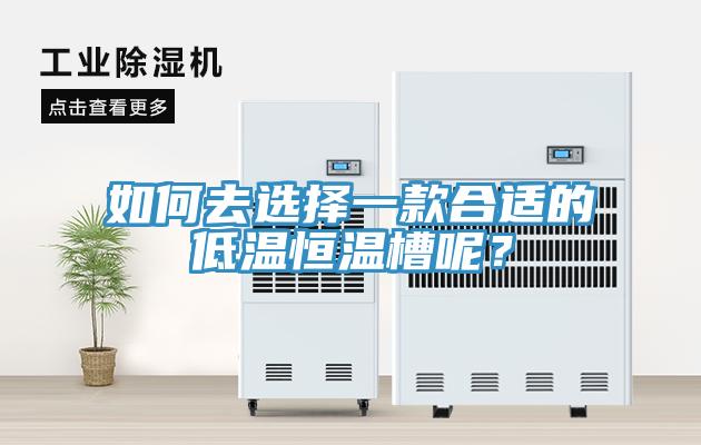 如何去選擇一款合適的低溫恒溫槽呢？