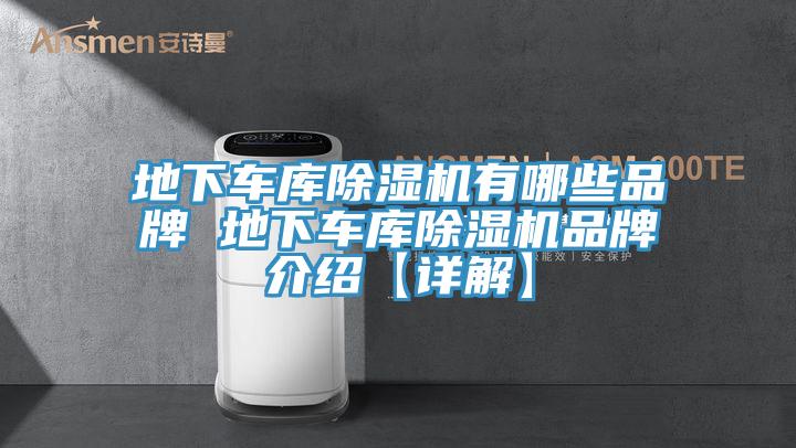 地下車庫香蕉视频国产有哪些品牌 地下車庫香蕉视频国产品牌介紹【詳解】