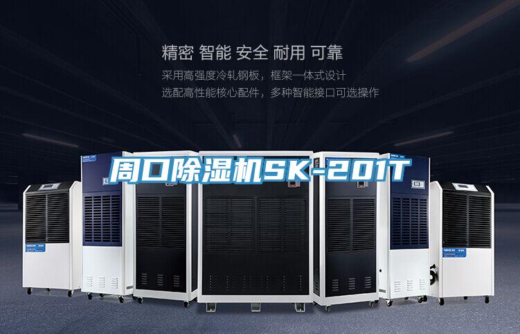 周口香蕉视频国产SK-201T