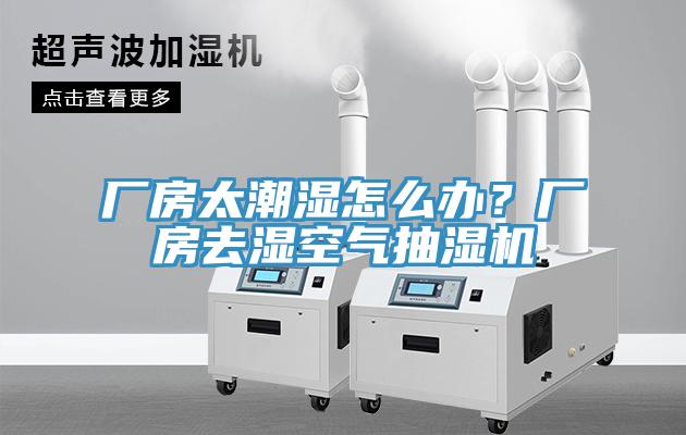廠房太潮濕怎麽辦？廠房去濕空氣抽濕機