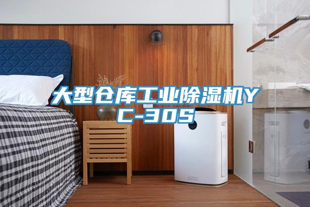大型倉庫工業香蕉视频国产YC-30S