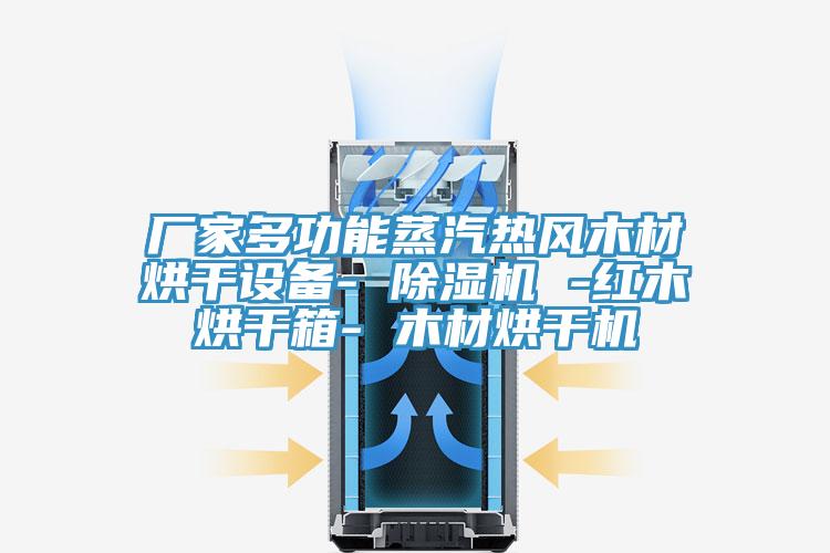 廠家多功能蒸汽熱風木材烘幹設備- 香蕉视频国产 -紅木烘幹箱- 木材烘幹機