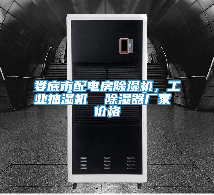 婁底市配電房香蕉视频国产，工業抽濕機  除濕器廠家 價格