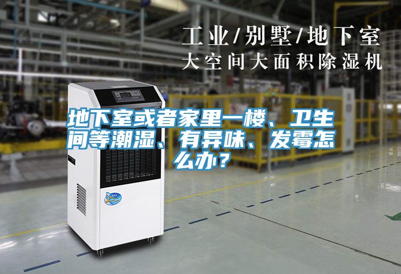 地下室或者家裏一樓、衛生間等潮濕、有異味、發黴怎麽辦？