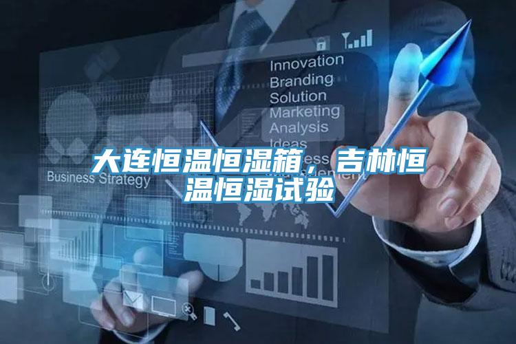大連恒溫恒濕箱，吉林恒溫恒濕試驗