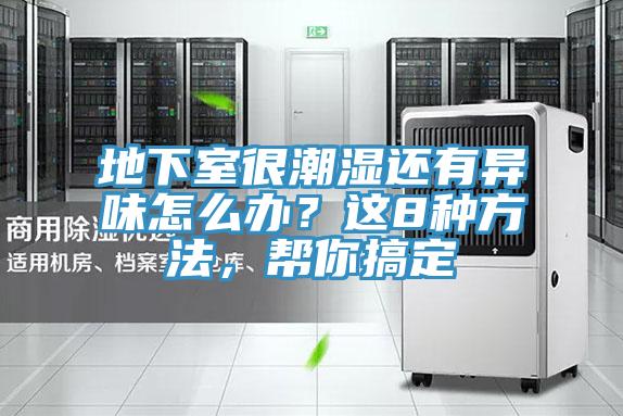 地下室很潮濕還有異味怎麽辦？這8種方法，幫你搞定