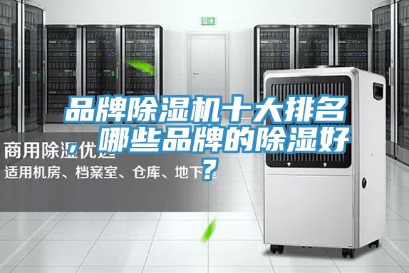 品牌香蕉视频国产十大排名，哪些品牌的除濕好？