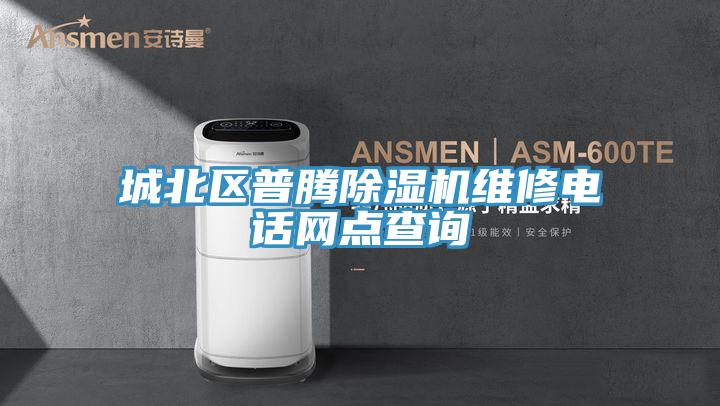 城北區普騰香蕉视频国产維修電話網點查詢