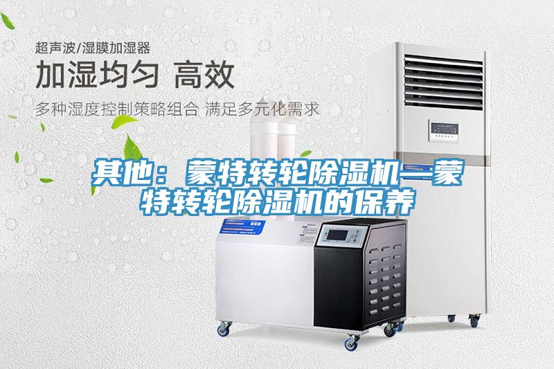 其他：蒙特轉輪香蕉视频国产—蒙特轉輪香蕉视频国产的保養