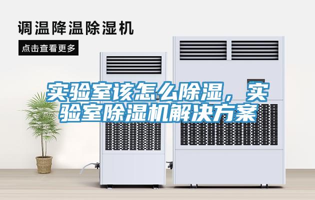 實驗室該怎麽除濕，實驗室香蕉视频国产解決方案
