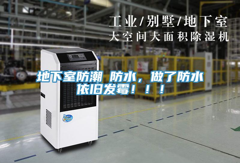 地下室防潮≠防水，做了防水依舊發黴！！！