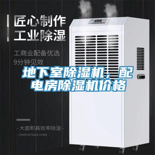 地下室香蕉视频国产，配電房香蕉视频国产價格