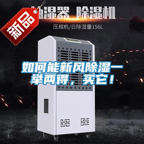 如何能新風除濕一舉兩得，買它！