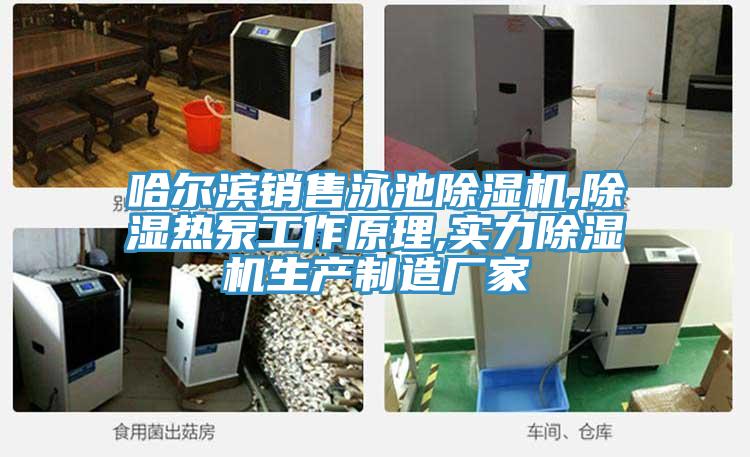 哈爾濱銷售泳池香蕉视频国产,除濕熱泵工作原理,實力香蕉视频国产生產製造廠家